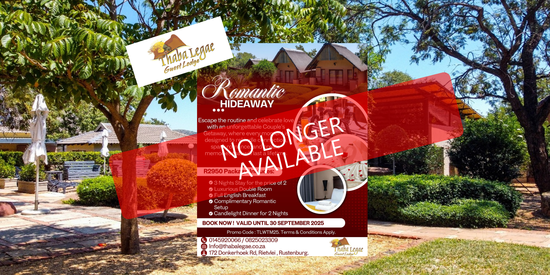 Valentine's Day Special